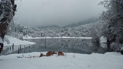 Doğa yürüyüşüne çıktılar! Korkunç olay!
