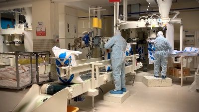 Buğday üretimi neden yetersiz?