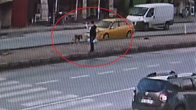 Taksicinin çarptığı köpek yola savruldu, kadın şoka girdi