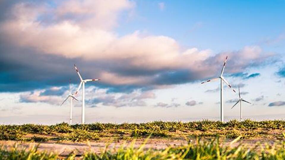 AB, yeşil projelere kamu desteğini artıracak