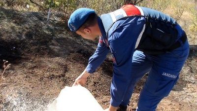 Peş peşe acı haber! 17 kentte 61 ölüm!