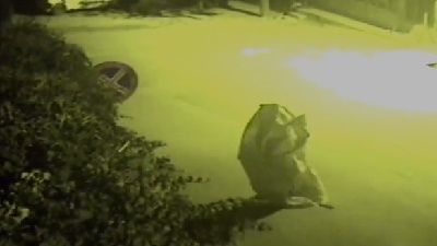 Hırsızdan çuvallı kamuflaj!