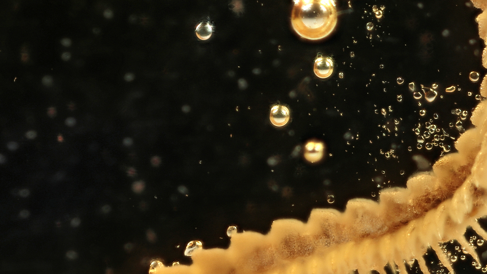 Sahilde şans eseri bulundu... Otomobil büyüklüğünde!