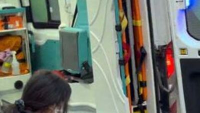 Pitbull cinsi 2 köpek çocuğa saldırdı