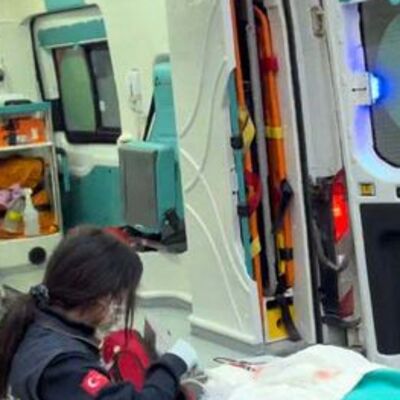 Pitbull cinsi 2 köpek çocuğa saldırdı