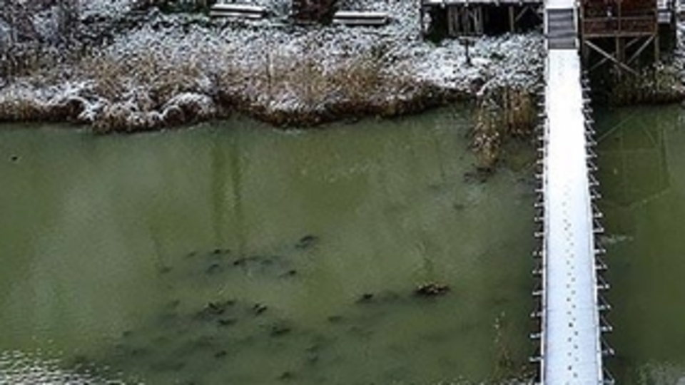 Kuş cennetinden kış manzaraları