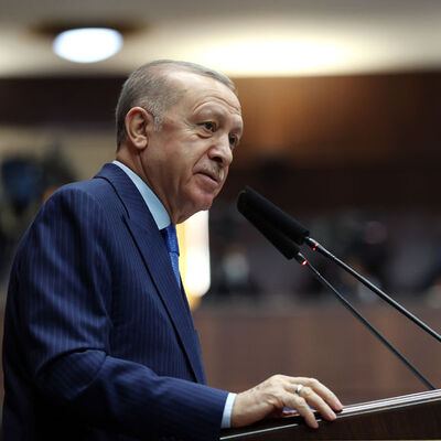 Cumhurbaşkanı Erdoğan'dan belediyelere sokak hayvanları uyarısı