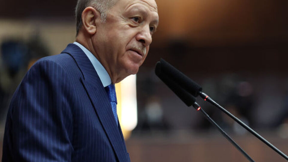 Cumhurbaşkanı Erdoğan'dan belediyelere sokak hayvanları uyarısı