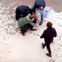 O anlar kamerada! 4 yaşında oyun oynuyordu! Pitbull dehşeti!