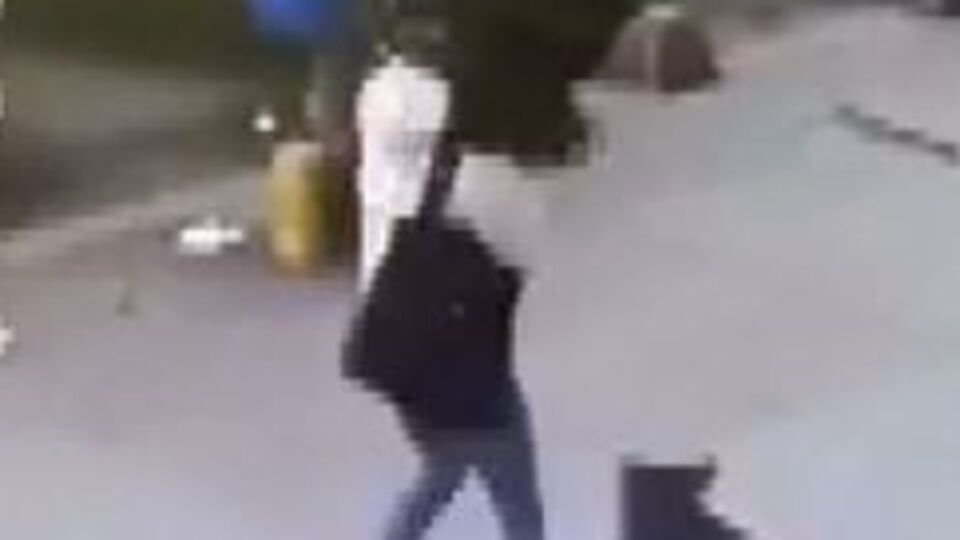 O anlar kamerada! Kedi, köpeği kovalayınca!