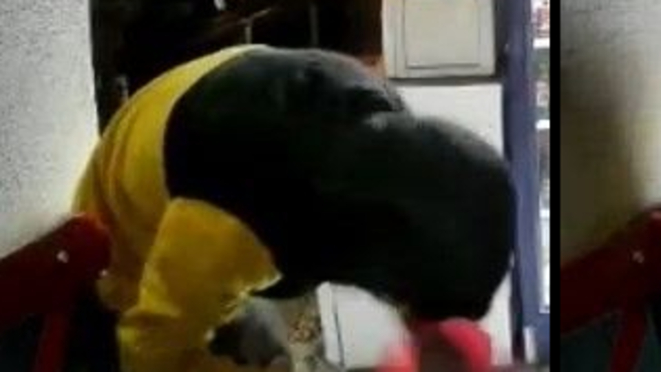 Önce Türk bayrağını öptü, sonra hırsızlık yaptı