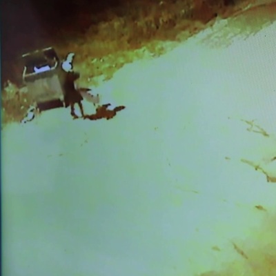 İki pitbull saldırısı daha! 3 kişi yaralandı