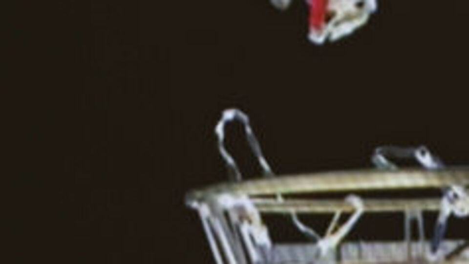 Çin'in taykonot ekibi ikinci uzay yürüyüşüne çıktı