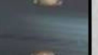 İşten çıkarılan kadından 'eskort' intikamı!