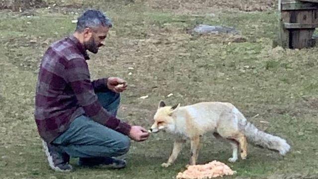 Cep telefonuyla kaydetti, ilgi gördü