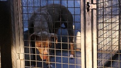 İçişleri duyurdu! O kişilere ceza yağdı