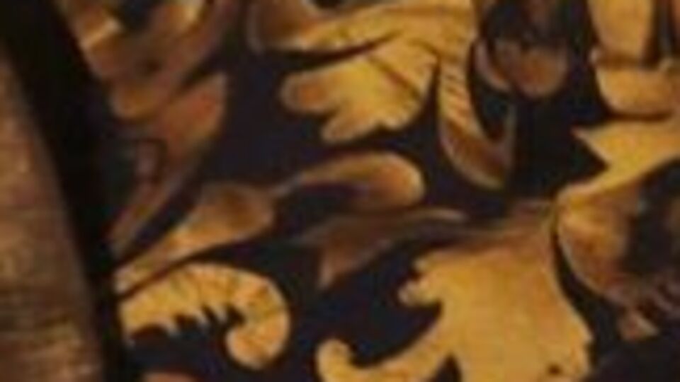 3 haftalık bebek, sokağa bırakıldı!