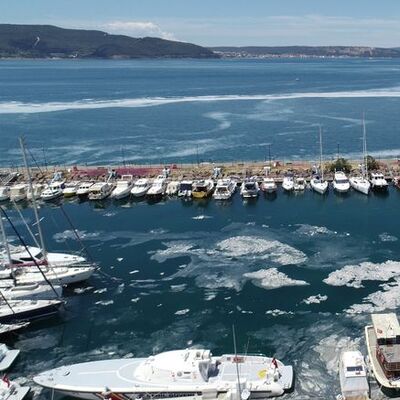 Küçük balık avcılığı müsilaj oluşumunu tetikliyor