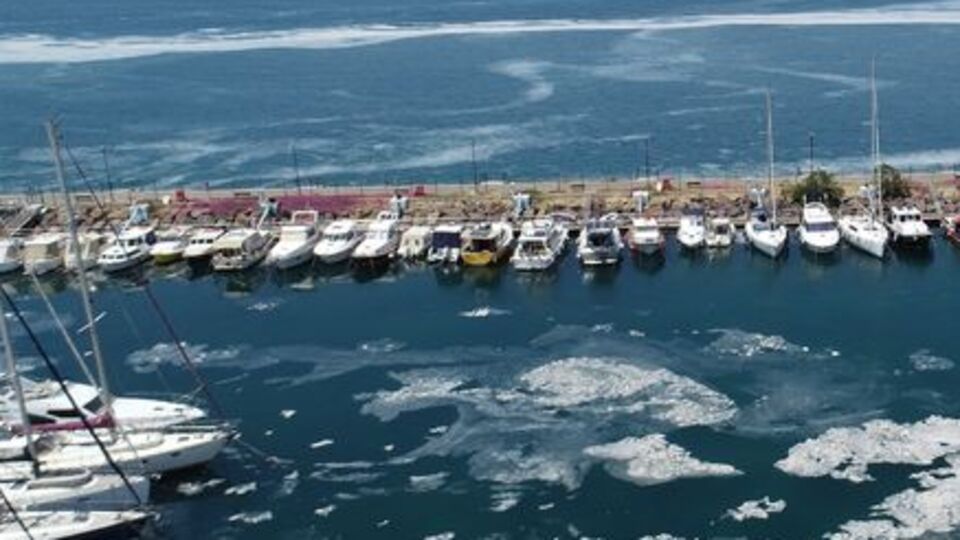 Küçük balık avcılığı müsilaj oluşumunu tetikliyor