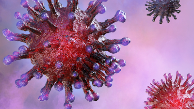 Korona kadar tehlikeli! Vaka sayıları artıyor