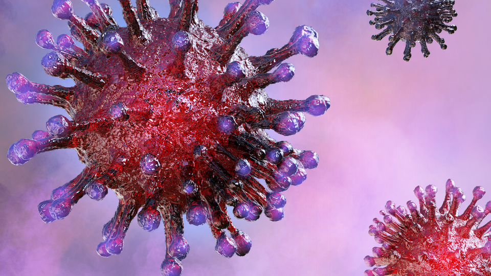 Korona kadar tehlikeli! Vaka sayıları artıyor