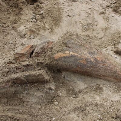 İngiltere'de taş ocağında bulundular!