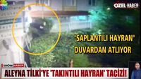 Aleyna Tilki'ye 'takıntılı' hayran tacizi!