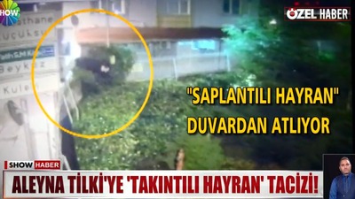 Aleyna Tilki'ye 'takıntılı' hayran tacizi!