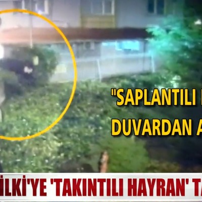Aleyna Tilki'ye 'takıntılı' hayran tacizi!