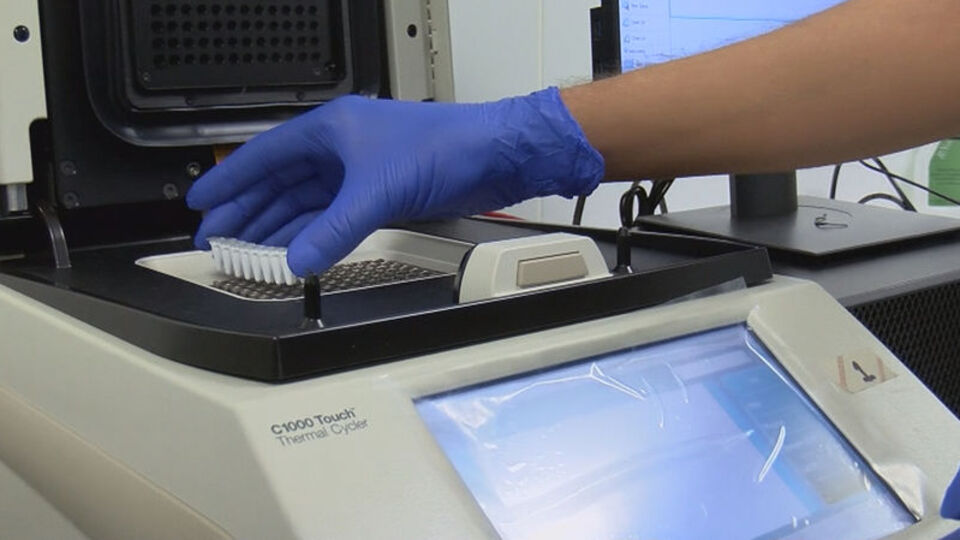 Yerli ve milli Covid-19 tanı kiti 2022'nin ilk aylarında devrede