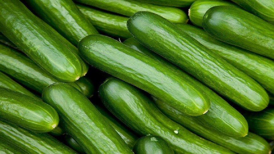 Aralıkta en çok salatalık pahalandı