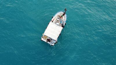 Akdeniz'in simgesi bir bir ölüyor... İki haftada ikinci kez bulundu