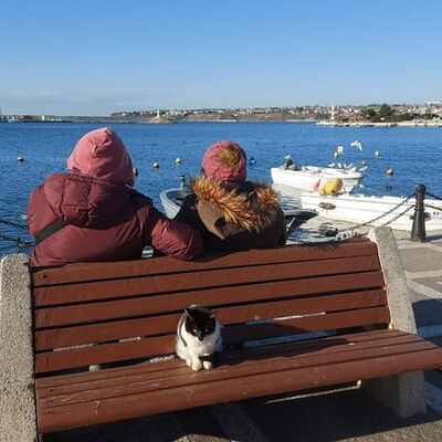 Yeni haftanın ilk günü hava nasıl olacak?