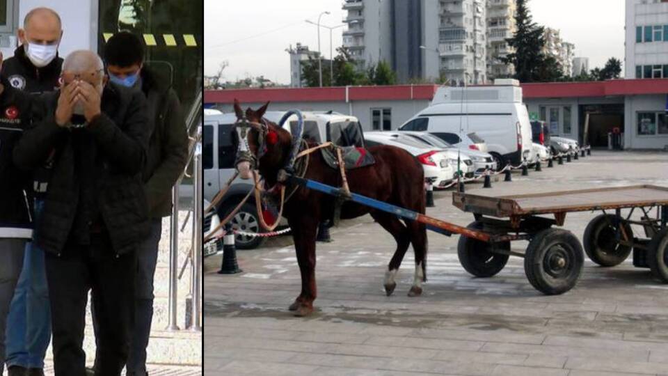 At arabalı seyyar torbacılar yakalandı