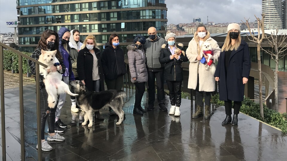 Hayvanseverlere 'samuray kılıçlı' tehdit!