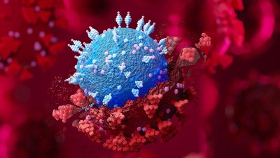 Hiper bulaştırıcı virüs! Salgını o mu bitirecek?