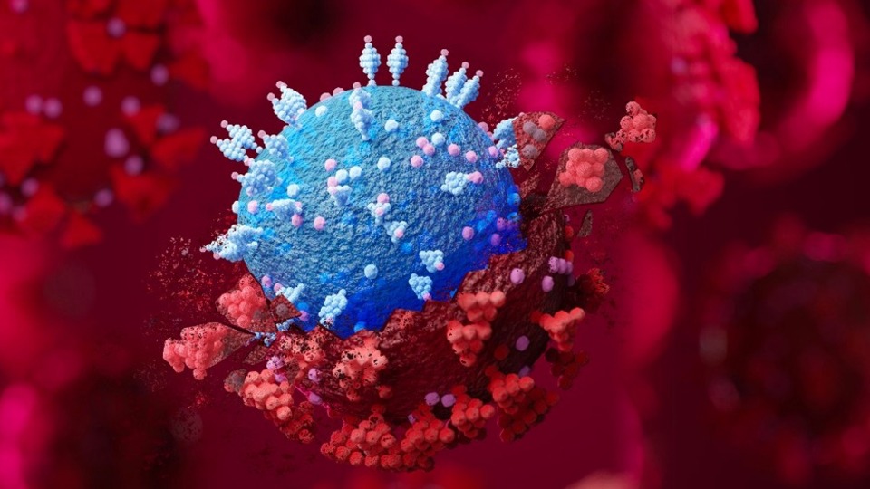 Hiper bulaştırıcı virüs! Salgını o mu bitirecek?