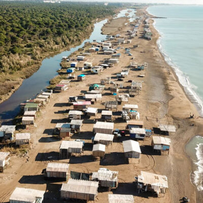 Doğaseverler isyanda! Caretta carettalara insan baskısı