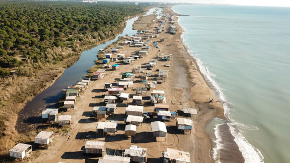 Doğaseverler isyanda! Caretta carettalara insan baskısı