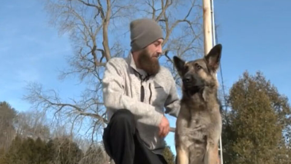Çoban köpeğinin zekası! Sahibi kaza yapınca...