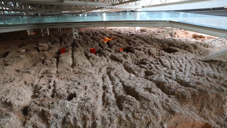 İnşaat çalışmasında ortaya çıkarıldı! 866 adet...