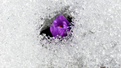 İlk cemre ne zaman, nereye düşecek?