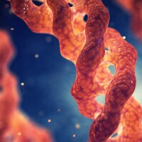 Kolajenin faydaları...