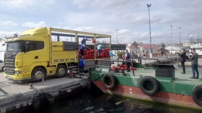 Beş ton kaçak canlı midye yakalandı