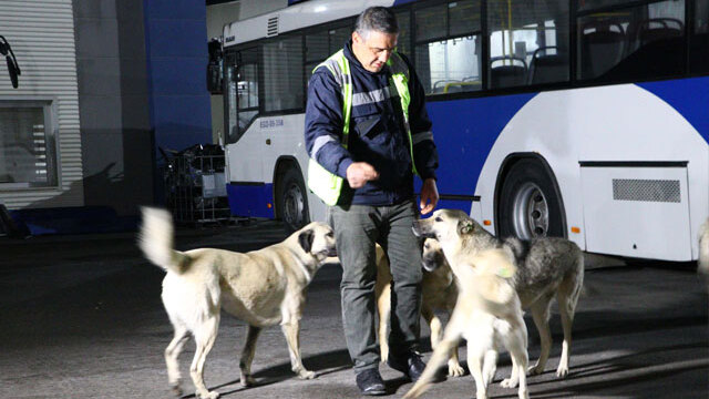 Topladığı yemeklerle 150 köpeğe bakıyor