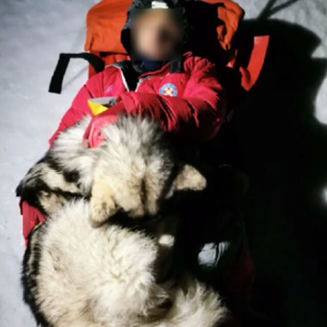 Köpeği dağcıyı böyle kurtardı! 13 saat boyunca...