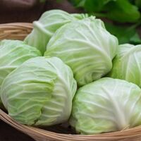 Beyaz lahananın faydaları