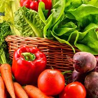 A Vitamini faydaları neler?