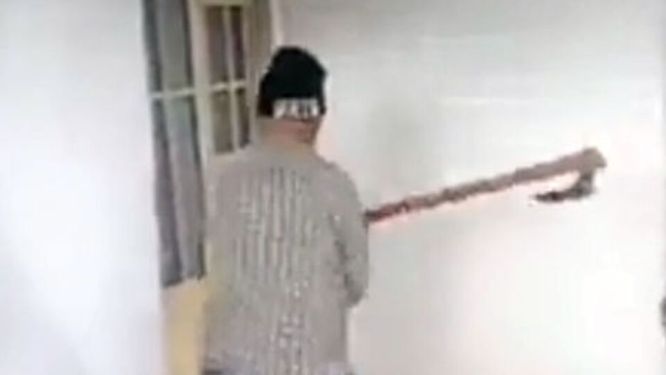 Hayvansever emekli polise baltalı saldırı