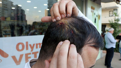 Veteriner hekimden coplu saldırı şikayeti